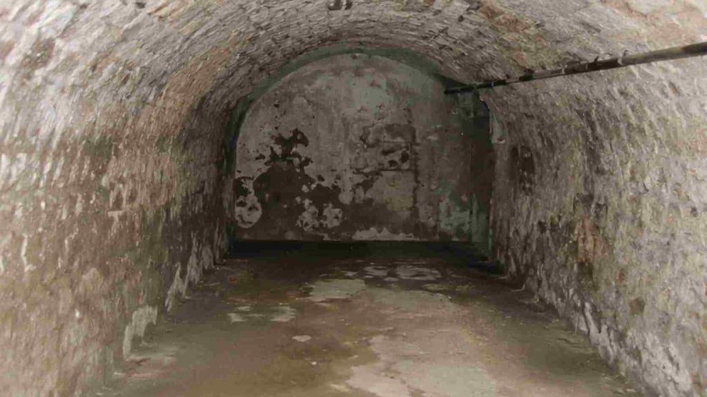 Cave voûtée XVIIIe d'Arles avant restauration : voûte en berceau encrassée, salpêtre et humidité ascensionnelle, sol en terre