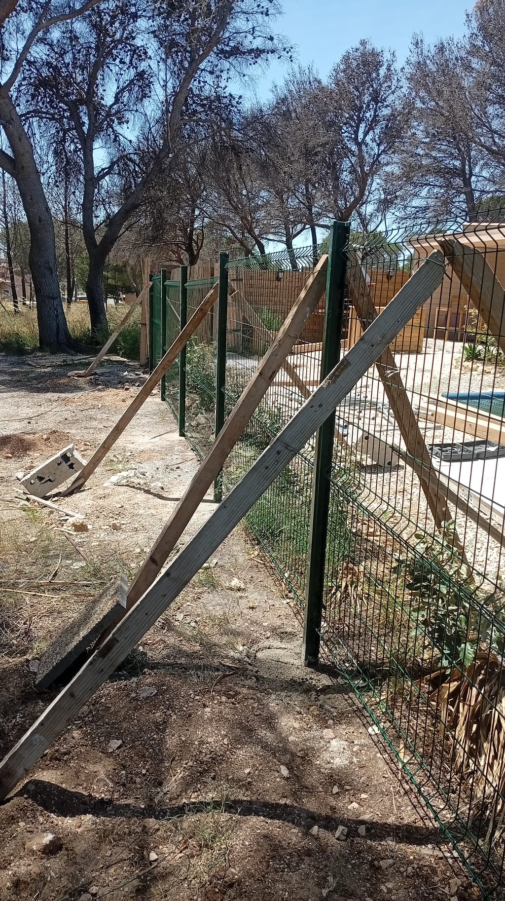 Panneaux de grillage rigide vert étayés devant les pins calcinés par l'incendie de 2025 aux Cadeneaux